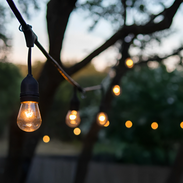 Solar Festoon Lights