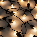 Solar Festoon Lights