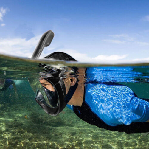 Full Face Snorkel